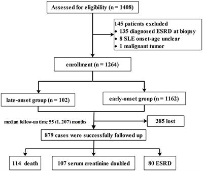 Long-Term Kidney Prognosis and Pathological Characteristics of Late-Onset Lupus Nephritis